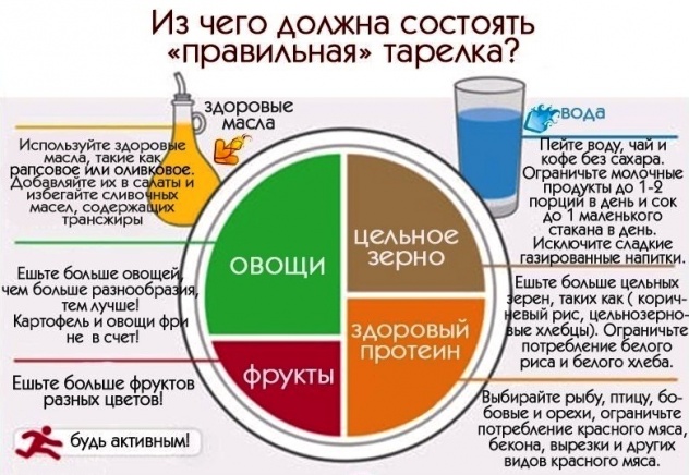 рациональное питание