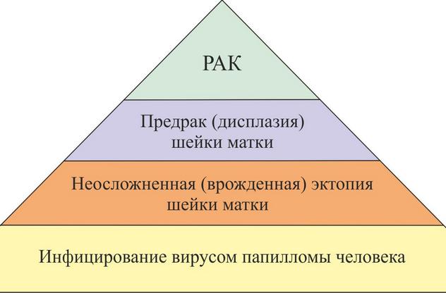 пирамида болезней шейки матки