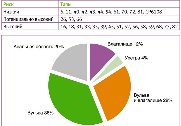 локализация остроконечных кондилом у женщин