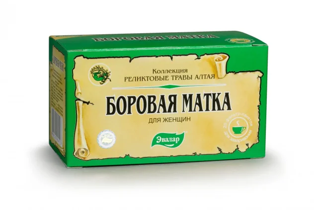 Боровая матка