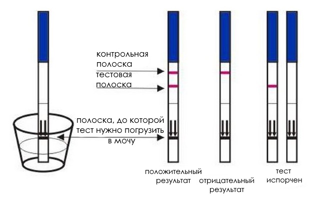 Схема, как пользоваться тест-полоской на беременность