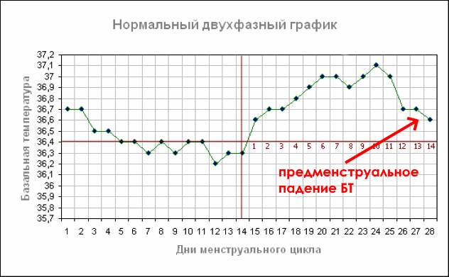 график бт